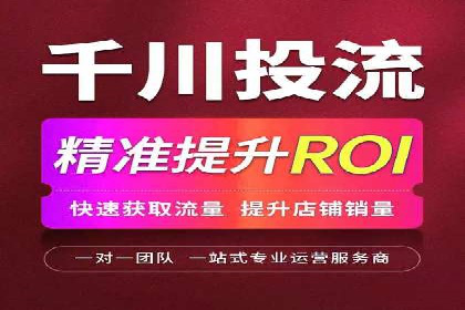 网络推广策略：竞价广告的实践案例